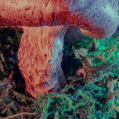Hallucination for breakfast