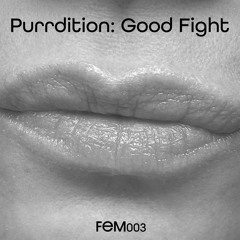 Purrdition - Good Fight (Original Mix)