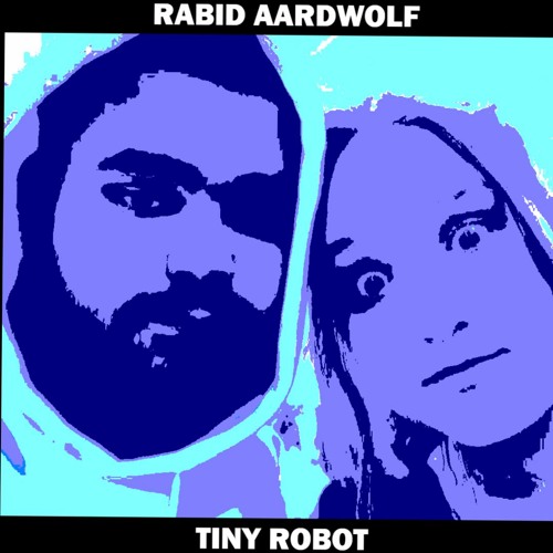 Tiny Robot