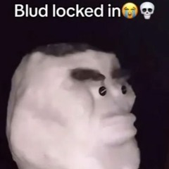 EXTENDED Don Pollo X Automotivo Bibi Fogosa