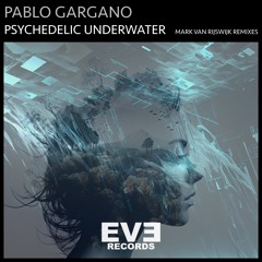 Pablo Gargano - Psychedelic Underwater (Mark van Rijswijk Remix)