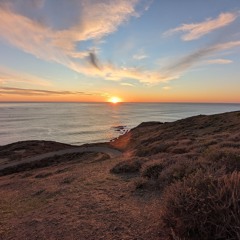 Driving Into The Sunset