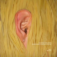 the perfect girl wants [beabadoobee x christina aguilera] 75 bpm