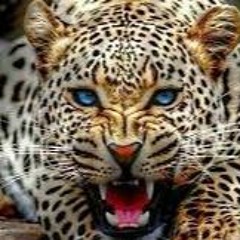 Fierce