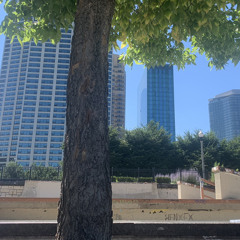 TVNDORDIE (TVND ) rare