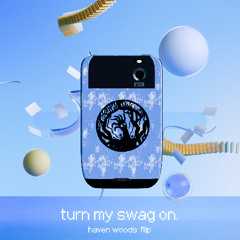 turn my swag on. {soulja boy flip}