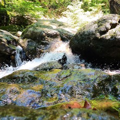 Raw footage of the waterfalls in the Belgium Ardennes