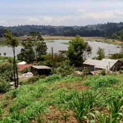 Saving Manguo Wetland. An Expert's Take