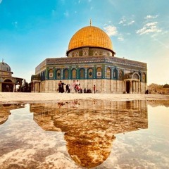 الشيخ محمود هاشم ( أي الأعمال أحب إلى الله )