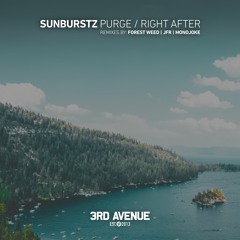 Sunburstz - Purge [3rd Avenue]