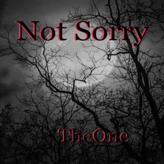 Not Sorry (Radio Edit)