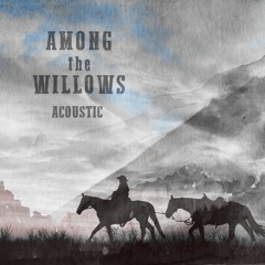 Among the Willows (Acoustic Version) - Patrick Zelinski and Eric Heitmann
