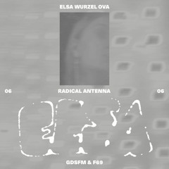 RADICAL ANTENNA 06 - Elsa Wurzel Ova