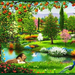 Life Before The Fall WL MX