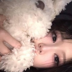 서울 강서구 귀요미가 좋아하는  믹셋