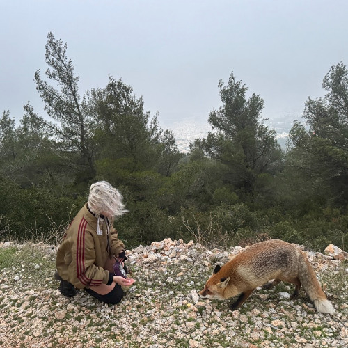 Living Fossil w/ newt (26.11.2025)