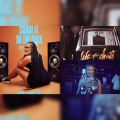 Shake It To The Max [R&B Mashup]
