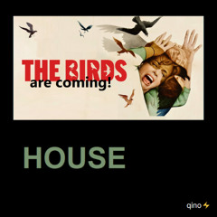 The Birds are coming!