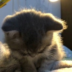 my drug addiction — не смогу