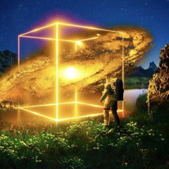 The Closing Chapter | 2020 Forest/Night-Psy Summary (3 Hour Set)