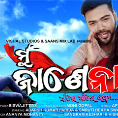 Mu Jane Naa - ଧୀରେ ଧୀରେ ପ୍ରେମ Official Original Music Ft. Biswajit Das Moni Gopal | Vishal Studios