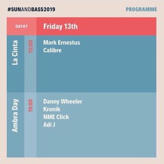 Danny Wheeler at Sun and Bass 2019