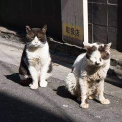 You and Me :-)
