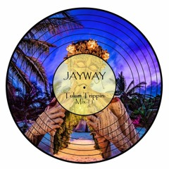 Tulum Trippin: Mix 11
