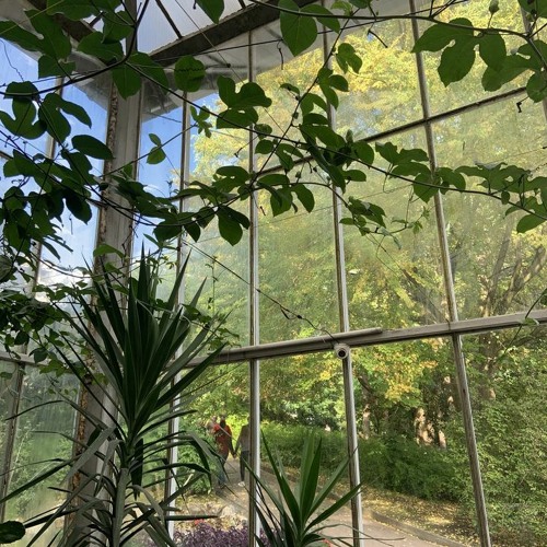 greenroom˚༉‧ [join_my_discord_server] ˖°.✧‧₊˚‧