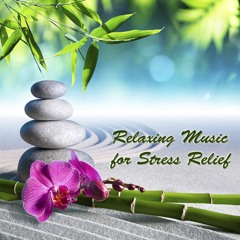 Calm Relax Music
