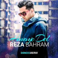 Havaye Del (Remix)