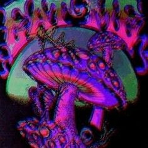 rhinestone eyes (for edit)