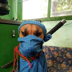 Tell Me Y (prod.kilolit)