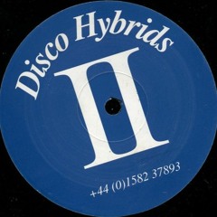 Disco Hybrids - Serious (1997)