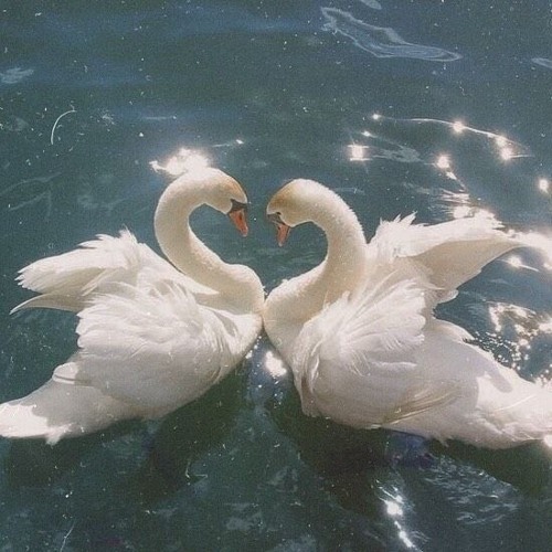 My Singing Monsters fire map song (slowed + reverb)