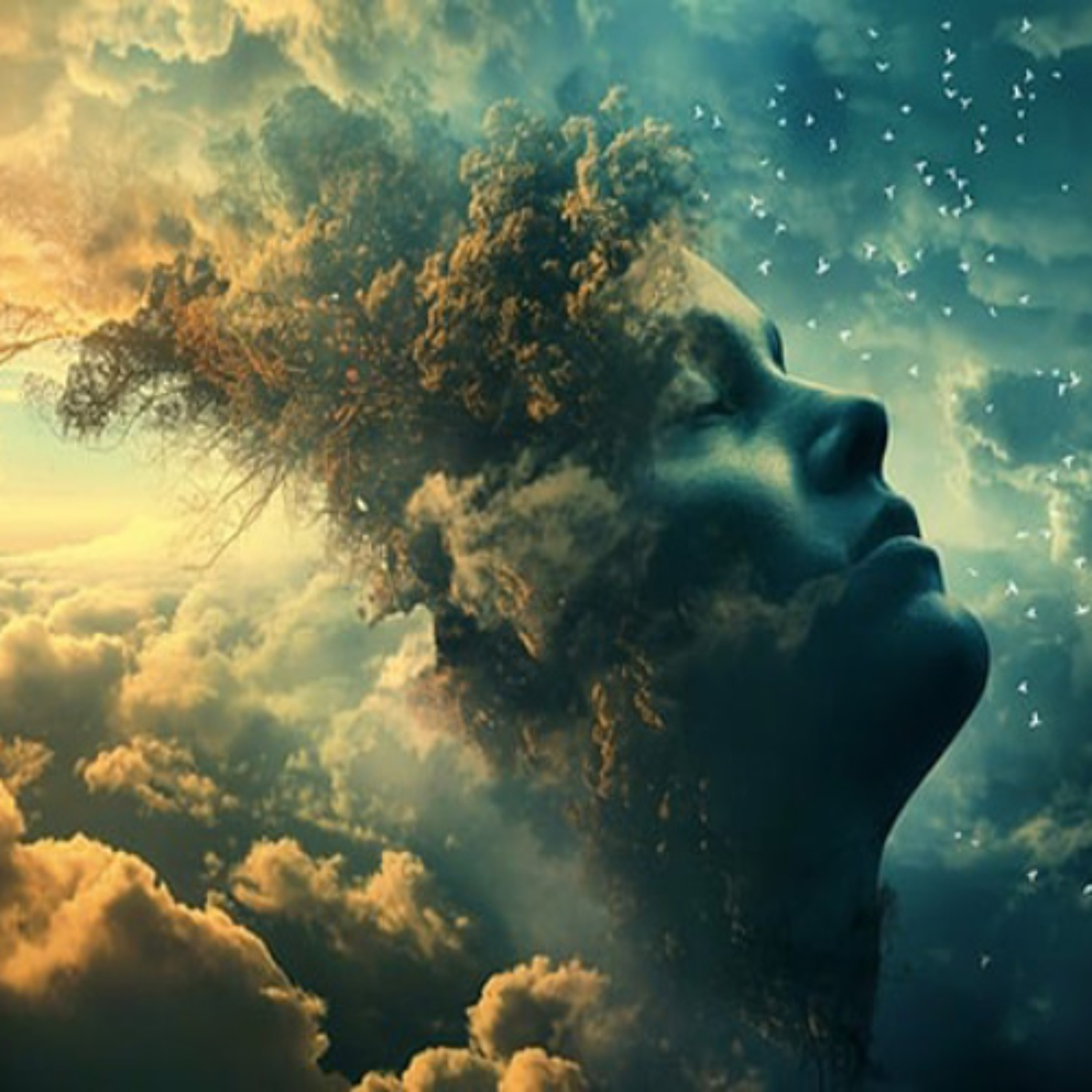 Food for the soul - Empowerment Is a mindset - Natalie Steele – 18/04/25 episode artwork