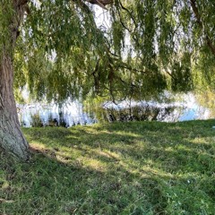 Where'er You Go (2016)