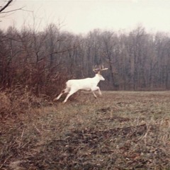 yes im on my way home nothing happened im fine