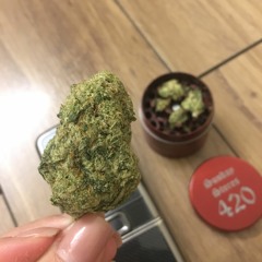 For Trippy...!!!