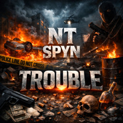 NT & SPYN - TROUBLE (FREE)