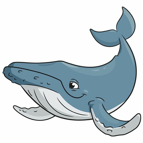 STS349 Sauce - Assignment 7 - Whale Type Beat