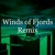 Artwork for Winds Of Fjords Remix