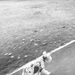 Issy’s Soundcloud Bangers