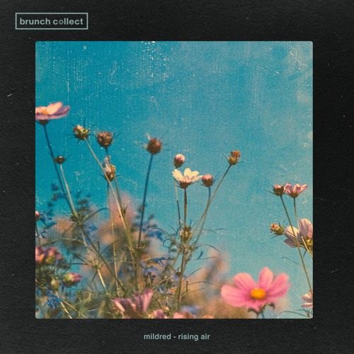 Mildred - Rising Air