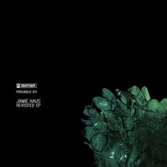 Jamie Haus - White Room (Planet Rhythm)