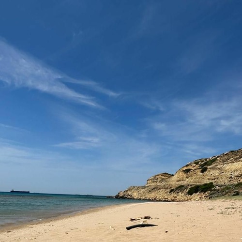 session04 -island vibes