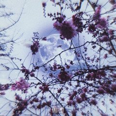 Inside ft. Kidd Hartt (Prod. Capsctrl & Wellfed)