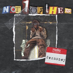 We$Money - Not 1 Of Them (prod.luhkim)