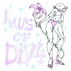 hAUS oF DiV4