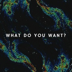 What Do You Want?